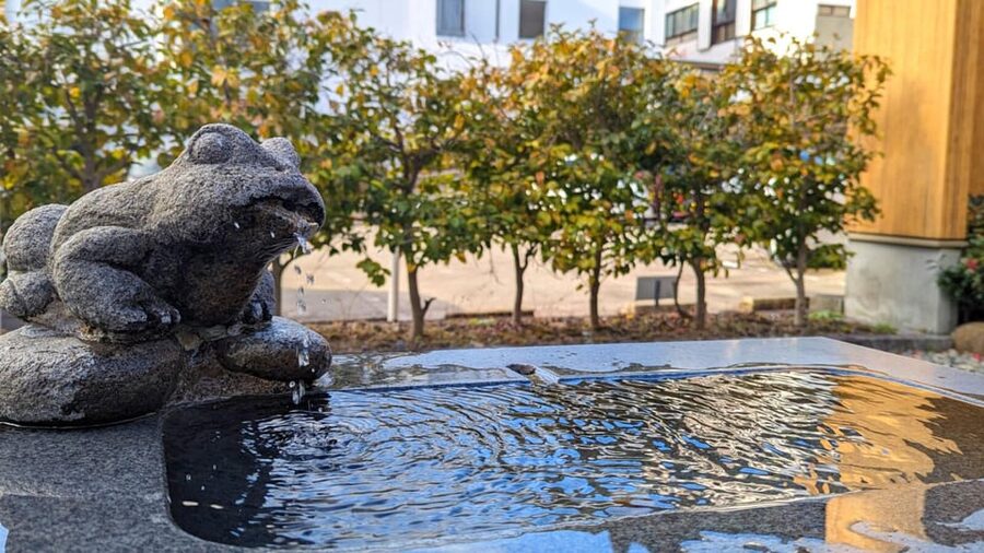 1-Day Tour from Takayama: Unveiling the Charm of Gero Onsen - What the $150 price includes