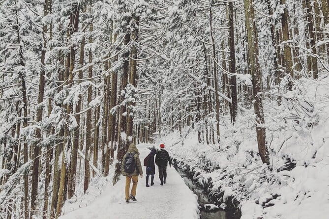 1-Day Winter Tour From Nozawa Onsen: Snow Monkeys, Zenko-ji Temple & Sake - Reaching the snow monkeys by forest trail