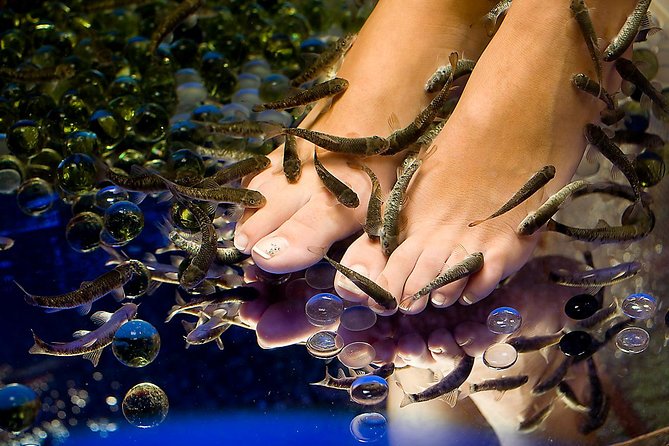 1-Hour Aroma Oil Massage plus 20-Minute Free Fish Pedi - What happens during the 20-minute fish pedicure