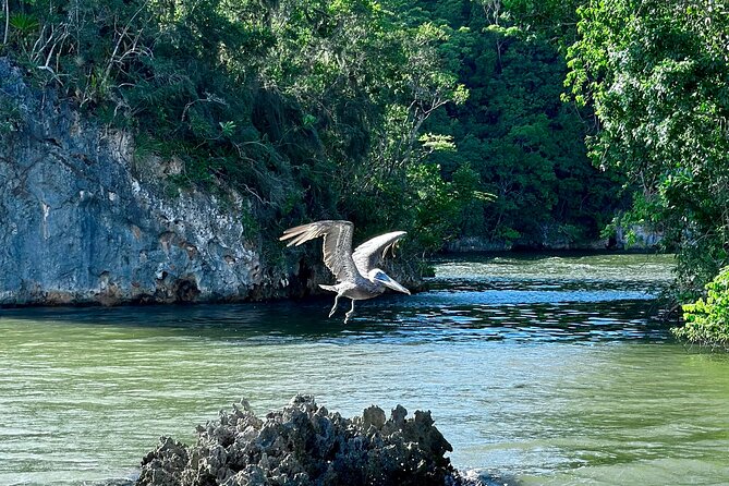 2in1: Los Haitises National Park + Yanigua Waterfall-SPA - Inside the Taino caves
