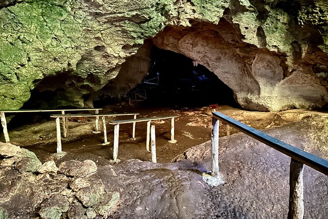 2in1: Los Haitises National Park + Yanigua Waterfall-SPA - Cocoa, coffee, and a taste of the countryside