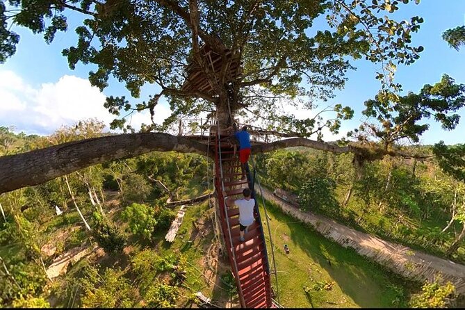2in1: Los Haitises National Park + Yanigua Waterfall-SPA - Is $125 a fair price?