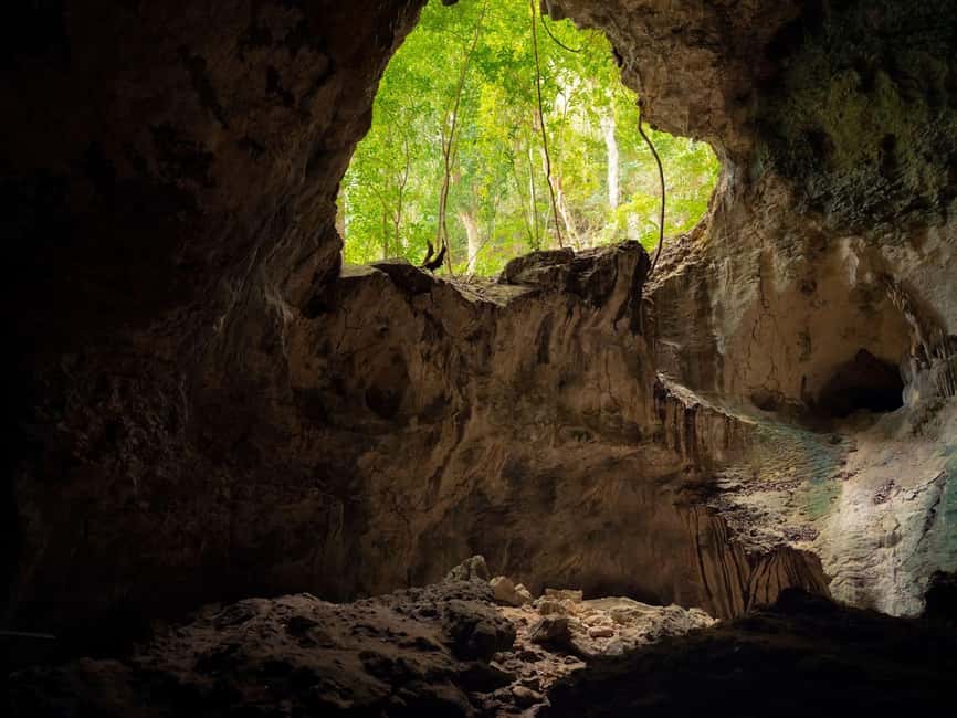 2in1: Los Haitises National Park + Yanigua Waterfall-SPA - Who will enjoy this day most?