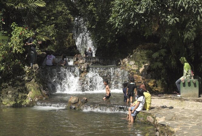 Active Volcano, Rice Field, Hot Spring, Fruit market, Tea Plantation with Lunch - Rice fields and a short village visit