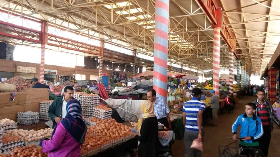 Agadir: City Tour with Hammam and Massage - Alongside the world’s biggest sardine harbor