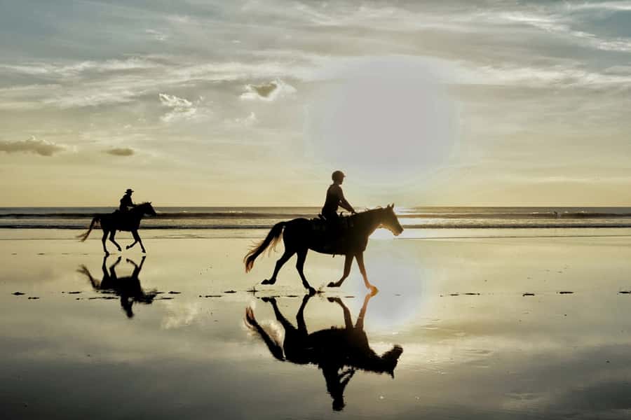 Agadir: Sunset Horse Riding Experience And Relaxing Massage - A Moroccan hammam with a serious scrub