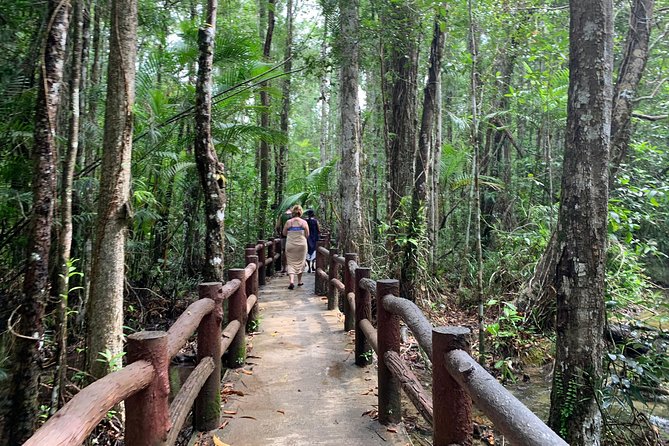 All day Krabi Jungle Tour (Hot Spring Water, Emerald Pool, Tiger Cave Temple) - Namtok Ron: warm water beneath the trees