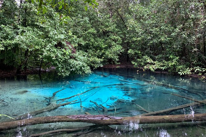 All day Krabi Jungle Tour (Hot Spring Water, Emerald Pool, Tiger Cave Temple) - Is $71.74 a fair price?