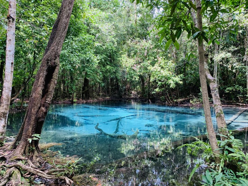 Ao Nang: Hot Spring, Emerald Pool & Tiger Cave Temple Tour - The real price and what it covers