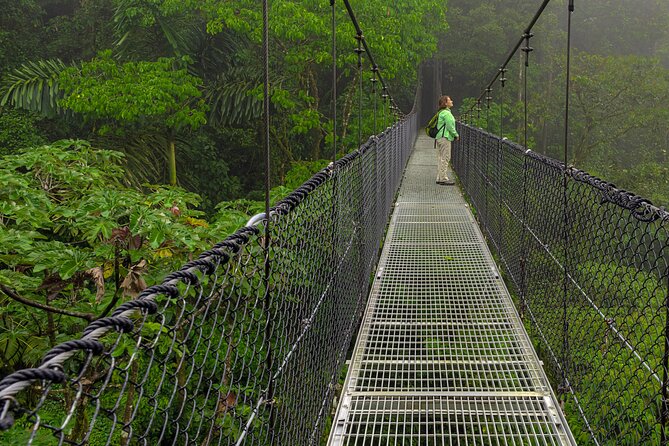 Arenal Hanging Bridges, Guided Walk, Hot Springs Optional - What the six hanging bridges add