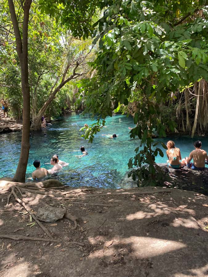 Arusha: Kikuletwa Hot Springs Day Trip with Transport - Why Kikuletwa Hot Springs makes a good day away from Arusha