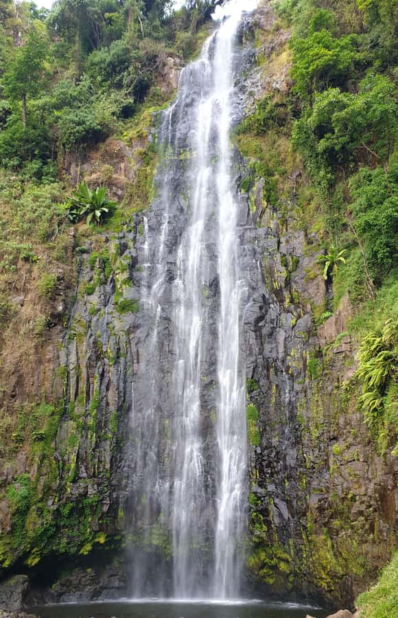 Arusha: Materuni Waterfalls, Hot Springs and/or Coffee Tour - Key points to know before booking