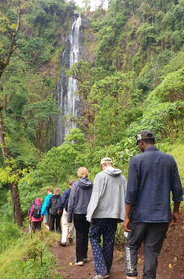 Arusha: Materuni Waterfalls, Hot Springs and/or Coffee Tour - From Arusha or Moshi to the foothills of Kilimanjaro