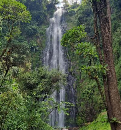 Materuni Waterfalls, Hot Springs and/or Coffee Tour