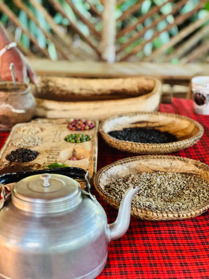 Arusha: Materuni Waterfalls, Hot Springs and/or Coffee Tour - The warm water at Chemka Hot Spring