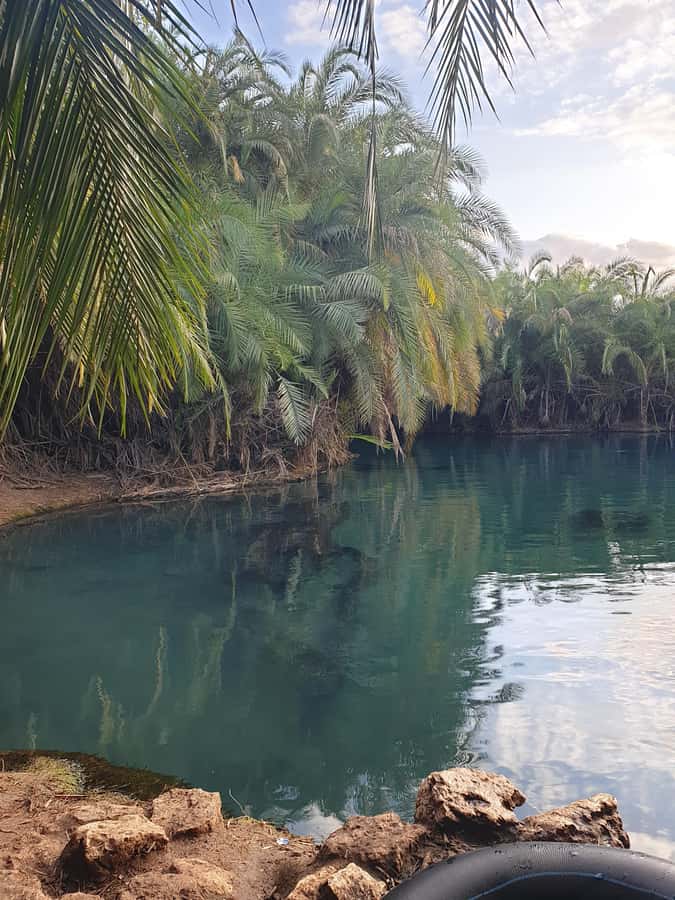 Arusha: Materuni Waterfalls, Hot Springs and/or Coffee Tour - Guides, driving, and the shape of the day
