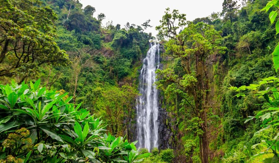 Arusha: Materuni Waterfalls, Hot Springs and/or Coffee Tour - Who will enjoy this outing most