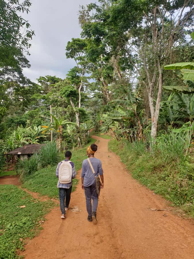 Arusha: Materuni Waterfalls, Hot Springs and/or Coffee Tour - Practical tips for a smoother day