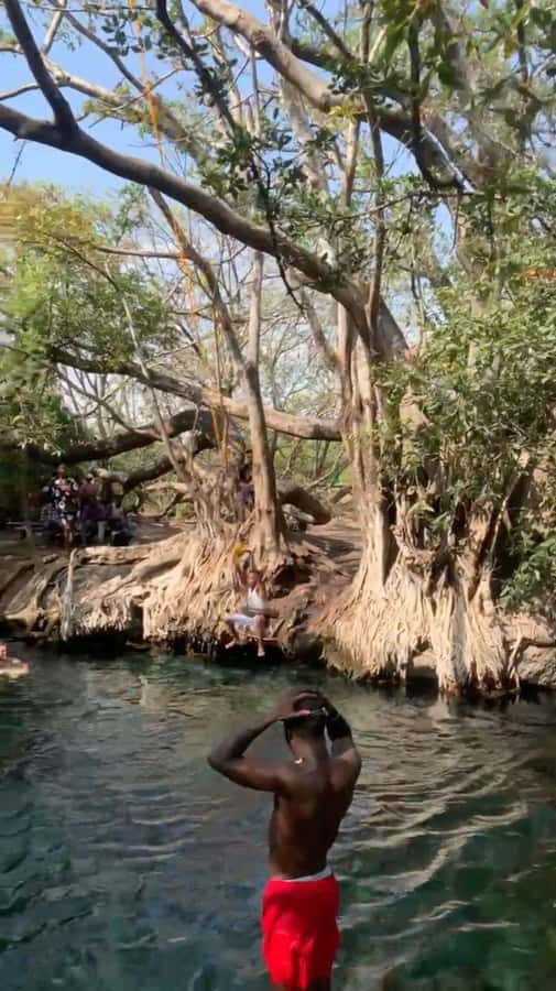 Arusha/Moshi Hot Springs Tour (Chemka) by Kingstone Asilia - Timing matters more than the six-hour label