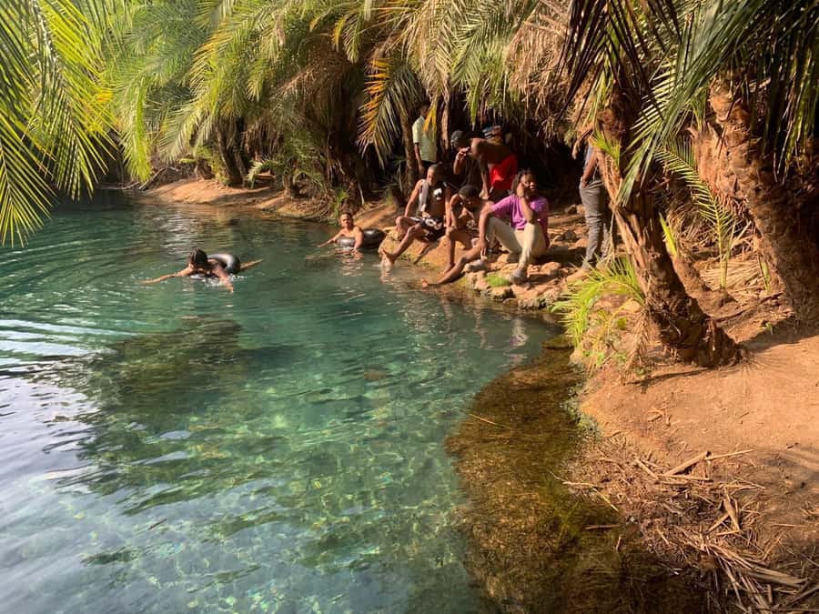Arusha/Moshi Hot Springs Tour (Chemka) by Kingstone Asilia - Swimming, rope swings, and quiet time by the pool