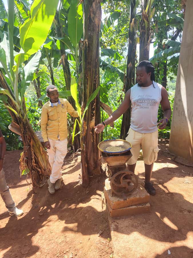 Arusha or Moshi : Hot Spring, Waterfall & Coffee Farm Tour - Relaxing at Chemka Hot Springs