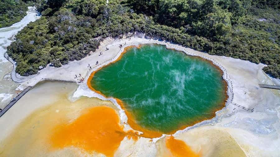 Auckland: Rotorua Highlights inc Wai-O-Tapu & Polynesian Spa - What the long return trip feels like