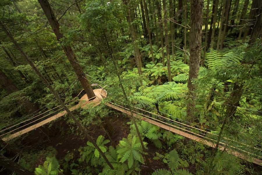 Auckland: Rotorua Highlights with Redwoods Treewalk & Spa - Tīrau’s corrugated iron oddities