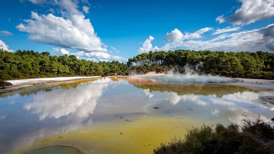 Auckland: Wai-O-Tapu, Maori Haka & Hot Springs Rotorua Tour - Is $233 a fair price?
