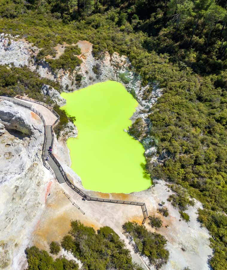 Auckland: Wai-O-Tapu, Maori Haka & Hot Springs Rotorua Tour - Who should book this Auckland day trip?