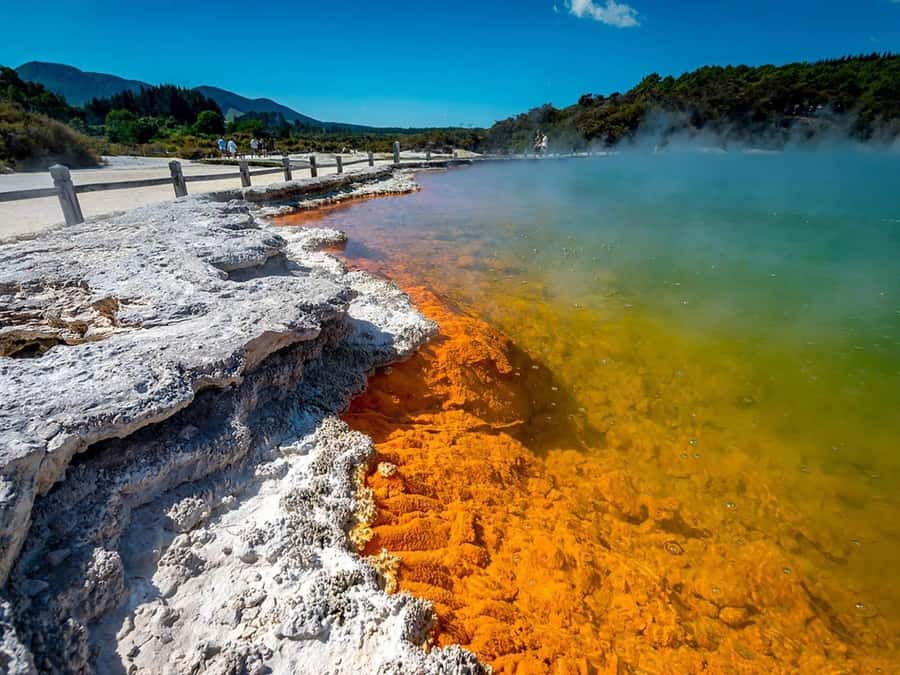 Auckland: Wai-O-Tapu, Maori Haka & Hot Springs Rotorua Tour - Lady Knox Geyser gives the morning a dramatic start