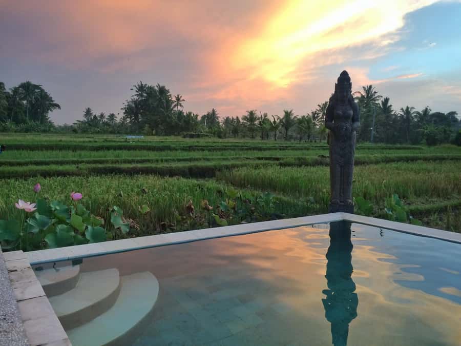 Bali: 7 Day Solo Traveler’s Yoga Retreat In Ubud - Monday combines yoga, plants, offerings, and stillness