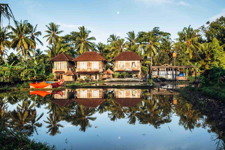 Bali: 7 Day Solo Traveler’s Yoga Retreat In Ubud - Tuesday leaves room for Balinese ceremony