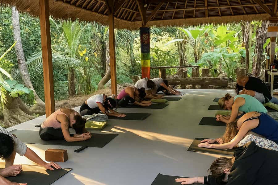Bali: 7 Day Solo Traveler’s Yoga Retreat In Ubud - Thursday brings medicinal tea and chocolate