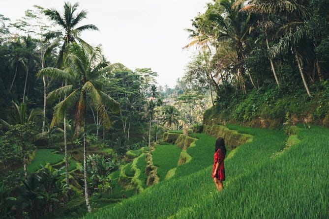 Bali day trip : Batur Sunrise Hike and Hot Spring All inclusive - Who will get the most from this day