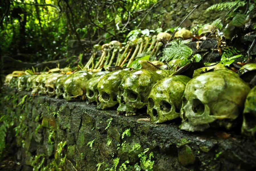 Bali: Trunyan Cemetery, Hot Springs, and Penglipuran Village - Key points at a glance