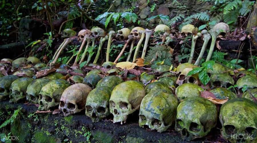 Bali: Trunyan Cemetery, Hot Springs, and Penglipuran Village - Batur Natural Hot Spring: a useful break after Trunyan