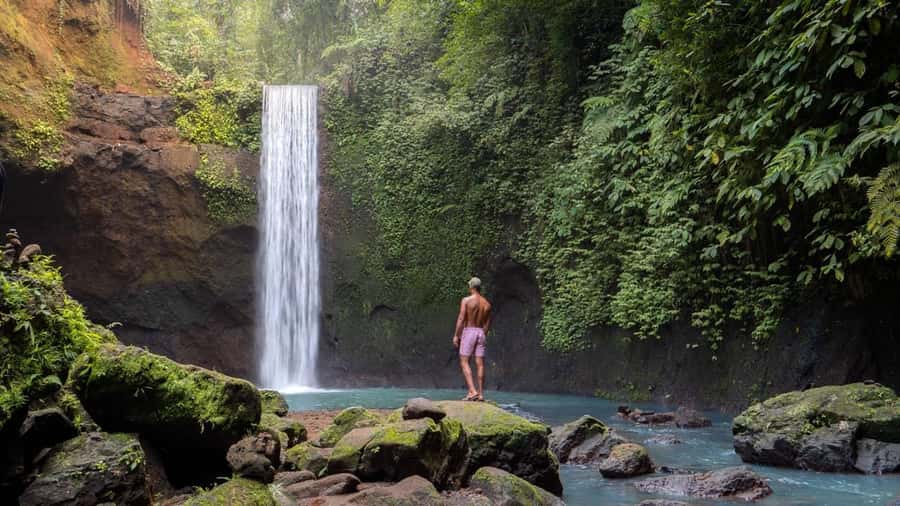 Bali: Trunyan Cemetery, Hot Springs, and Penglipuran Village - Who should book this experience?