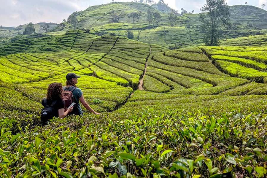 Bandung: White Crater, Scenic Tea Plantations & Hot Spring - Rengganis Crater and the more active side of the trip