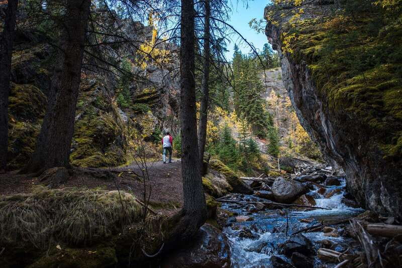 Banff: Thermal Waters and Hidden Waterfalls - 3hr Walk - Starting beside Banff’s first national park springs