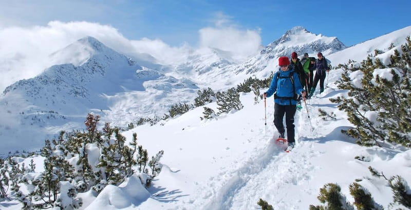 Bansko: Easy snowshoeing Pirin National Park & thermal spa - What the guide adds to the walk