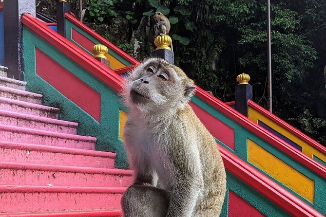 Batu Caves,Waterfalls and Hot Springs Tour With Lunch - The hot spring problem you should know about