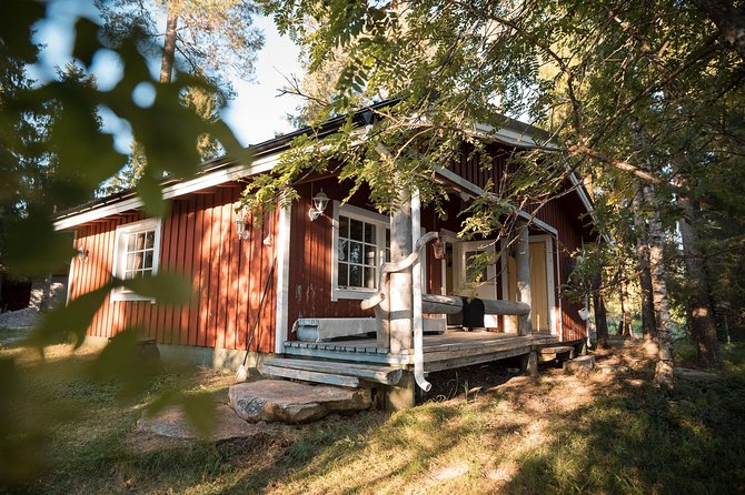 Best Of Lapland: Sauna, Ice swimming, Dinner & Northern Lights - Open-fire salmon after the cold