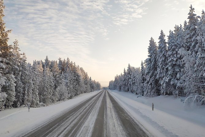Best Of Lapland: Sauna, Ice swimming, Dinner & Northern Lights - The Northern Lights chance