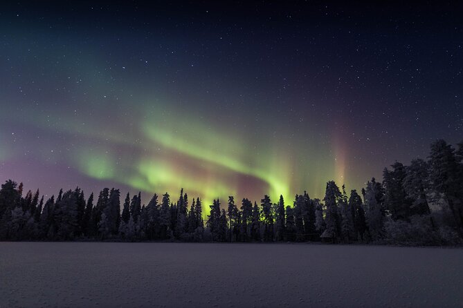 Best Of Lapland: Sauna, Ice swimming, Dinner & Northern Lights - Booking details that matter