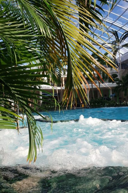 Bucharest: Therme Night Show Ticket with Transfer - Three hours of warm water and garden air