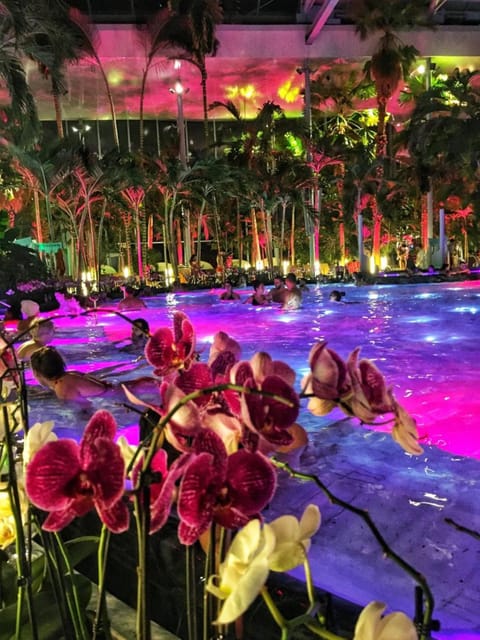 Bucharest: Therme Spa Night Experience with Transfer - The geothermal pools at 33 Celsius