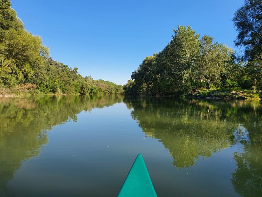 Budapest: Canoeing the Danube w or wo Sauna or Danube Beach - Key points to know before booking