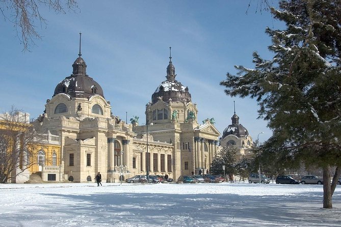 Budapest Széchenyi Spa with Danube Cruise and Optional Dinner - Who will enjoy this package most