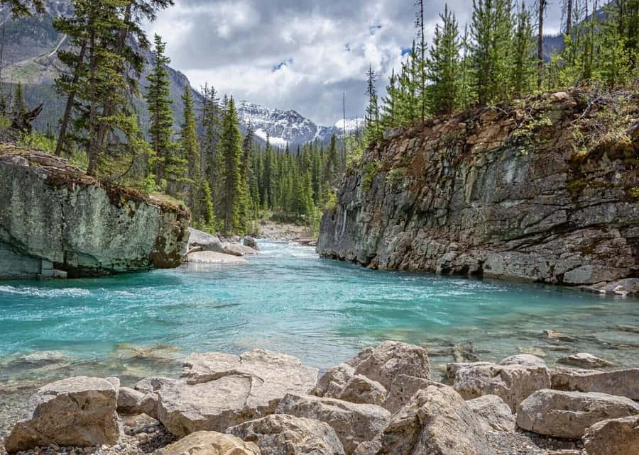 Calgary: Radium Hot Springs & Marble Canyon Day Trip - Why this Calgary day trip works