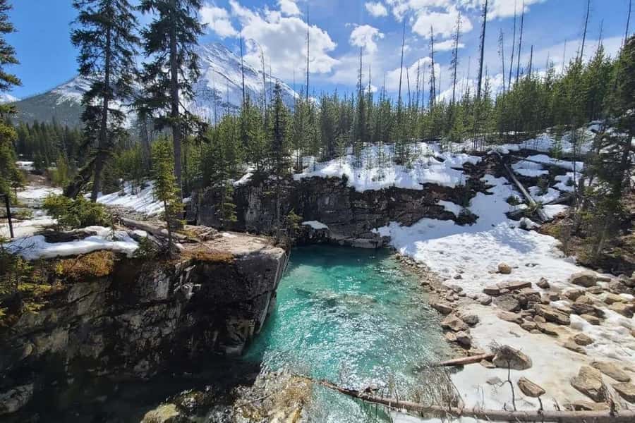 Calgary: Radium Hot Springs & Marble Canyon Day Trip - Banff for 1.5 hours
